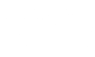 Seed Digital Agency